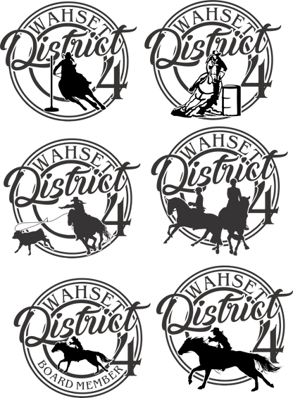 District 4 Richardson Cap