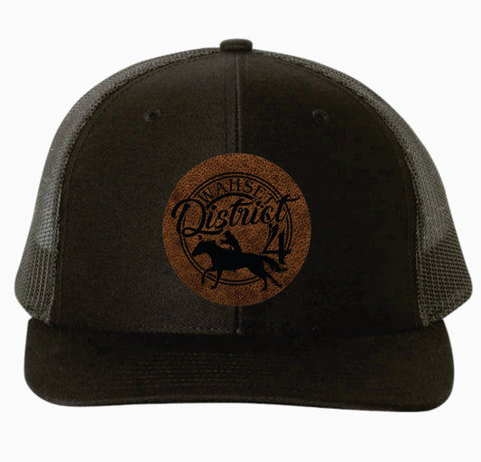 District 4 Richardson Cap