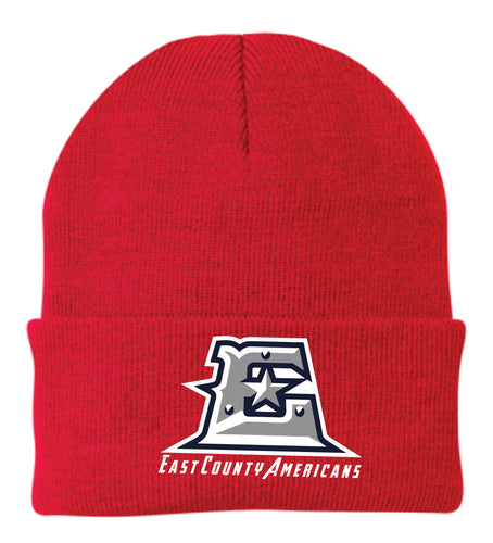 ECA Embroidered Foldover Beanie