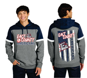 ECA Flag Colorblock Hoodie