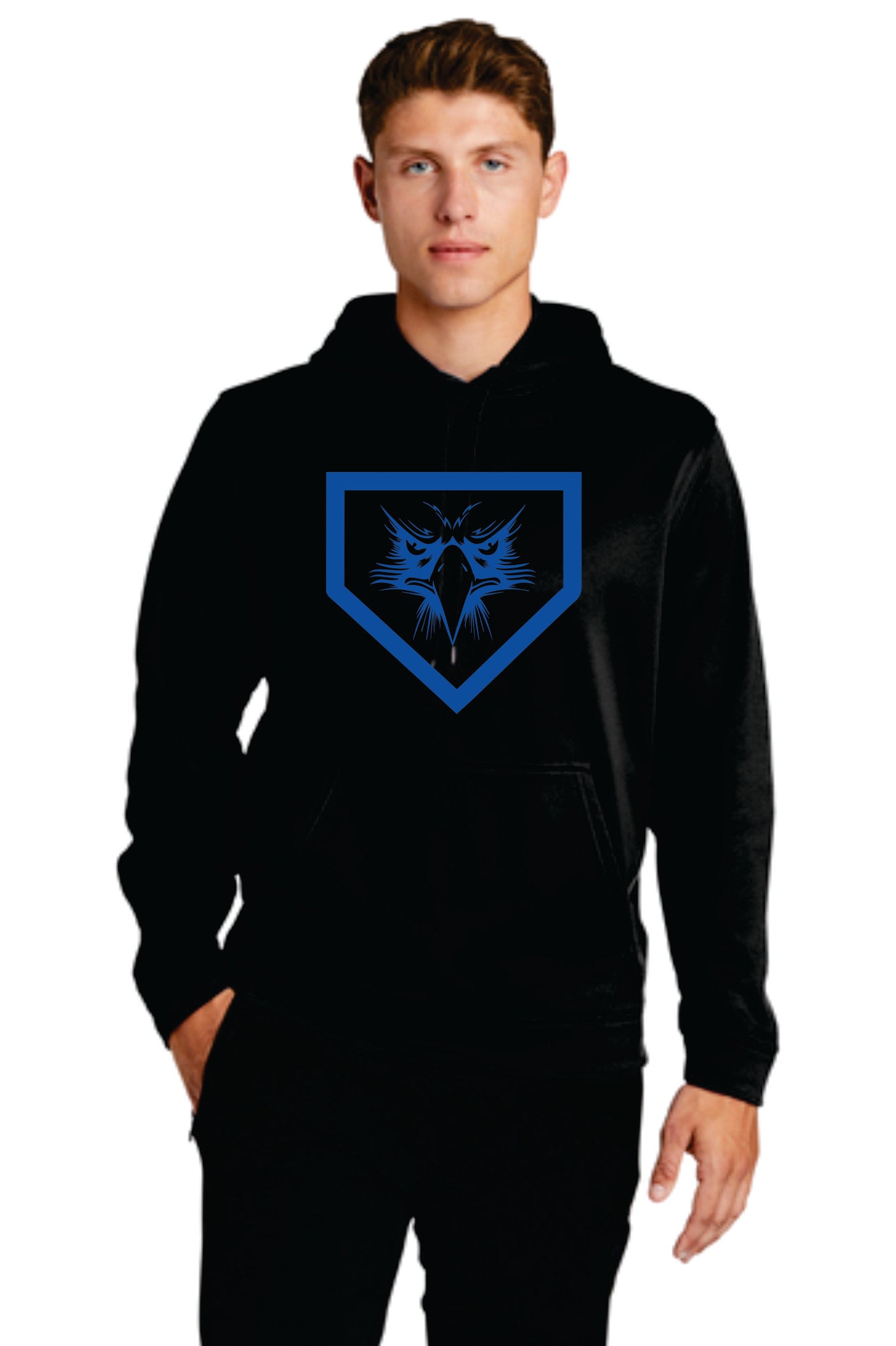 Elma Eagles Baseball Drifit Hoodie