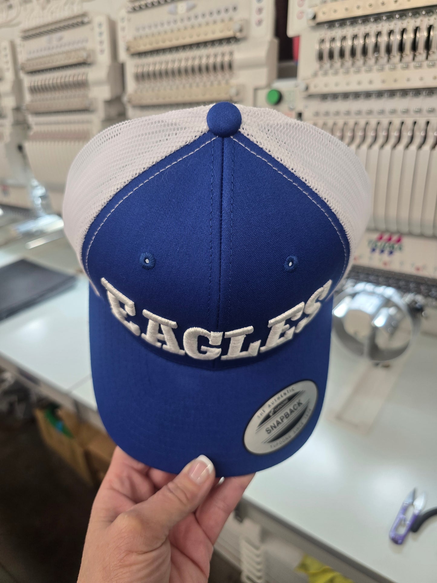 Eagles 3D hat