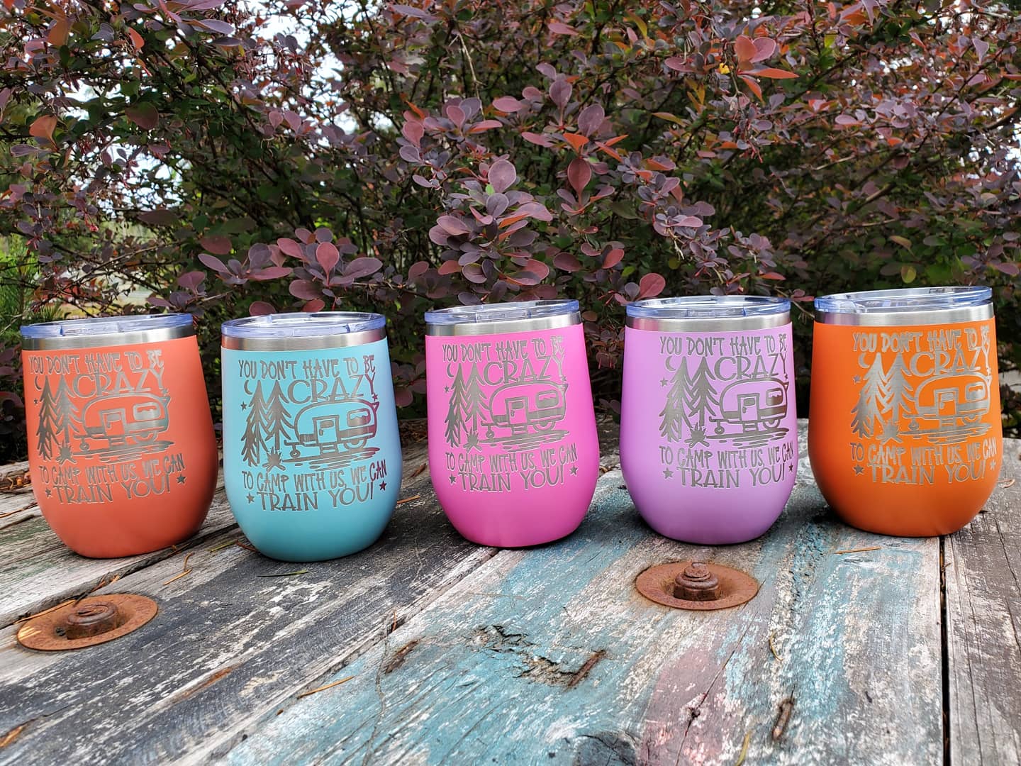 We can train you Wine Tumbler